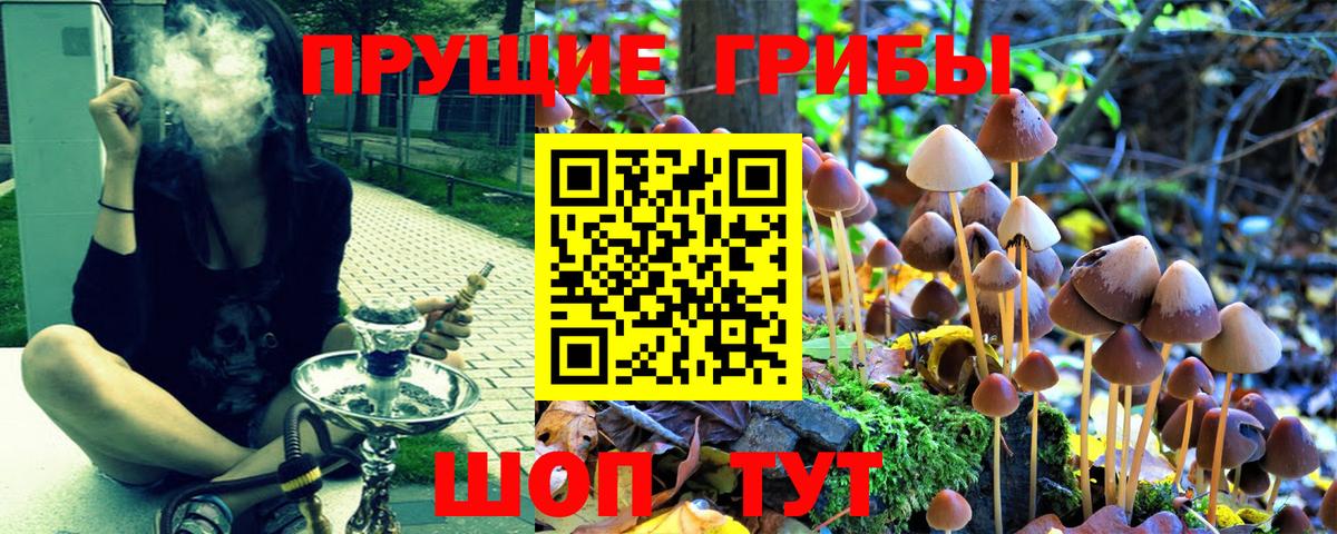 Галлюциногенные грибы Cubensis Баксан