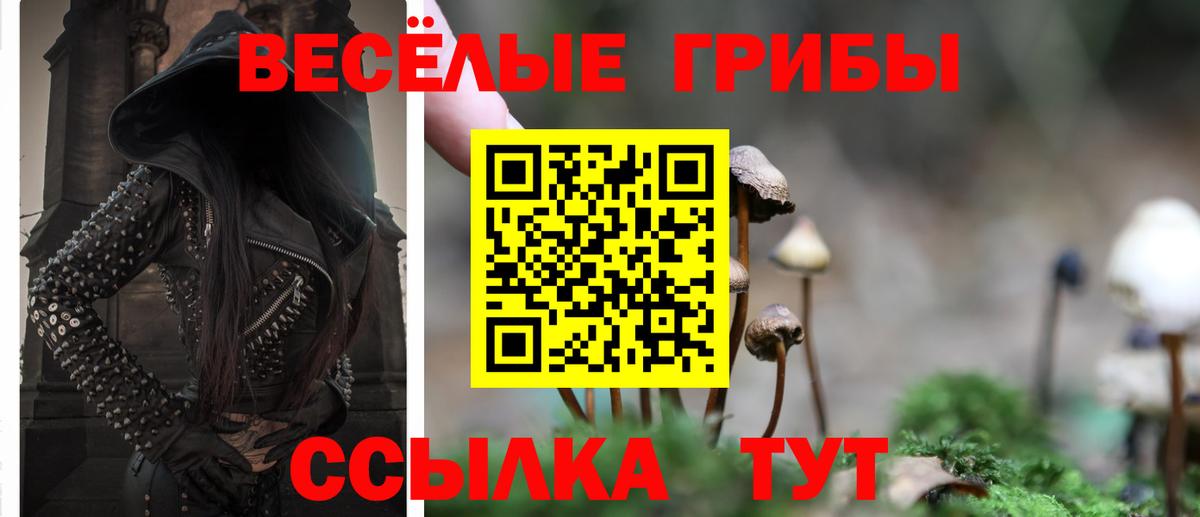 Галлюциногенные грибы MAGIC MUSHROOMS  Вход с VPN  Псилоцибиновые грибы мицелий  Баксан 